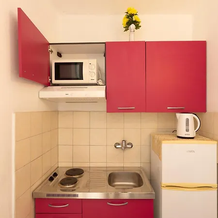 Zuronja 10137b Brijesta